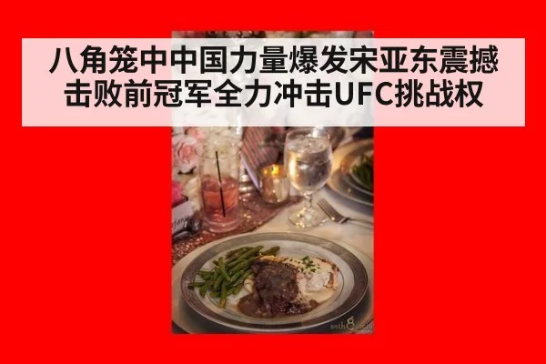 八角笼中中国力量爆发宋亚东震撼击败前冠军全力冲击UFC挑战权