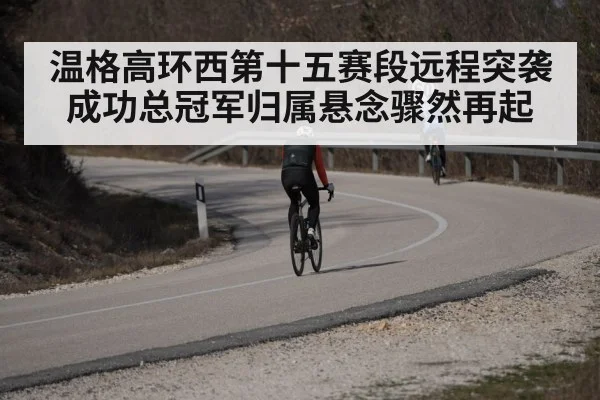 温格高环西第十五赛段远程突袭成功总冠军归属悬念骤然再起