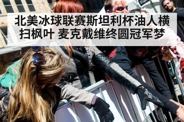 北美冰球联赛斯坦利杯油人横扫枫叶 麦克戴维终圆冠军梦